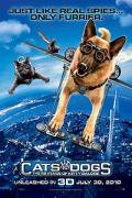 Image for movie 291