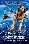 Image for movie 18612