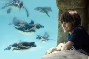 COMPETITION: Free family passes to UK attractions with Pontin's