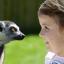COMPETITION: Free family passes to UK attractions with Pontin's