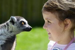 COMPETITION: Free family passes to UK attractions with Pontin's