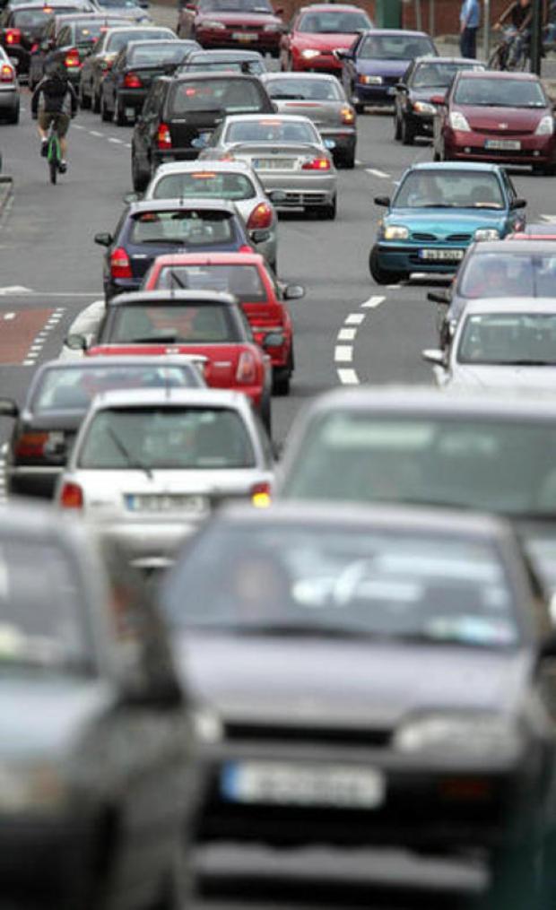 Dog stops traffic on motorway