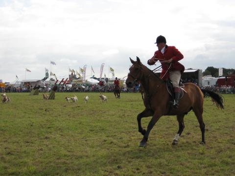 Suzy’s role with Three Counties society
