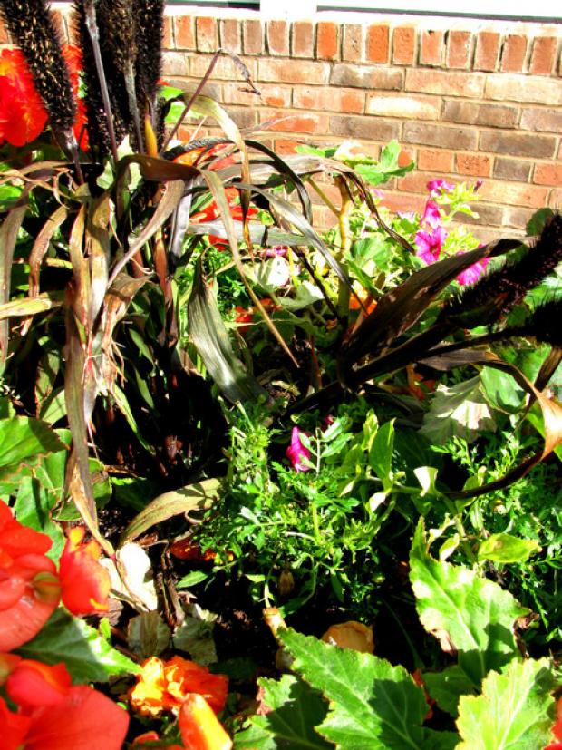 ATTACK: Some of the colourful tubs were damaged during a busy weekend.