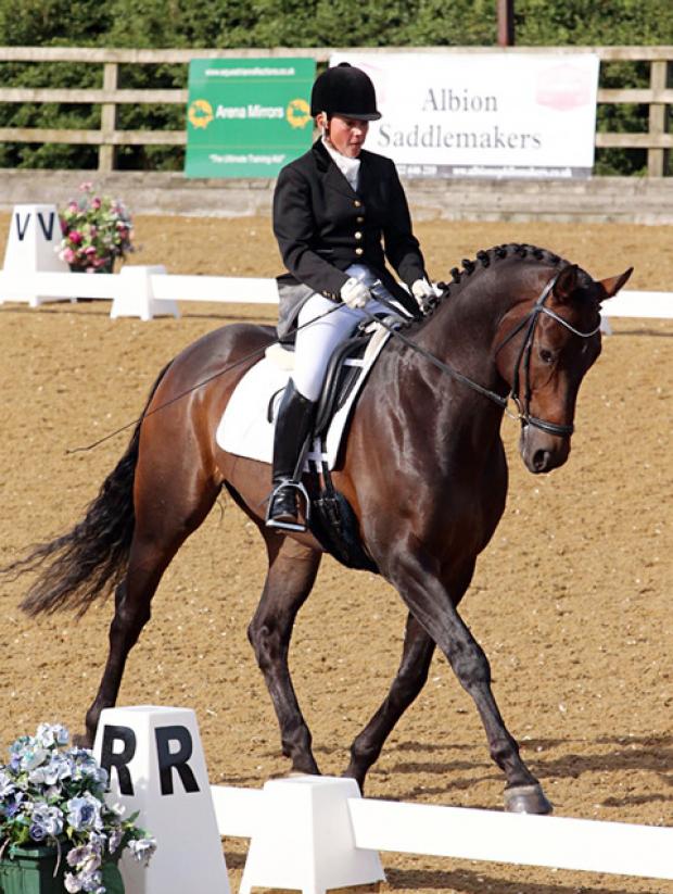 DREAM PAIRING: Broadway-based rider Nickie Maddaford and Lou Bega I in action at the Abbey Dressage in Tewkesbury where they won the novice class at the event with a score of 67.5 per cent. Picture: REAL TIME IMAGING