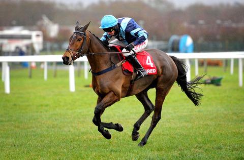 NEXT TEST: Cotswold horse Pete The Feat ridden by Noel Fehily, wins at Newbury is set to enter the Classis Chase at Warwick on Saturday.