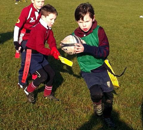 ON THE CHARGE: Cameron Robbins in action for the under sevens at Evesham Rugby Club who have organised a mini festival. Picture: SIMON DE VOS