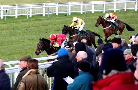 CLOSE TO HOME: Kinkeel (left) on the run to the line in second place ahead of Orang Outan and Domoly. Picture: ALAN CHAPMAN