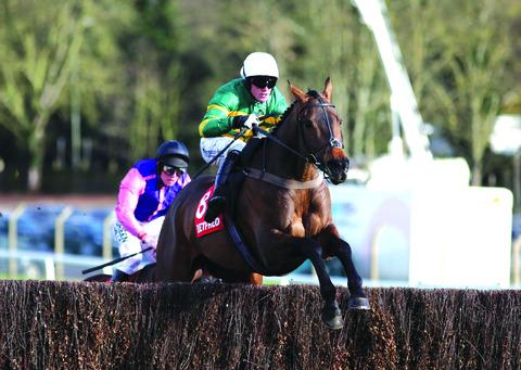 JONJO JOY: Cotswold horse Eastlake, ridden by Richie McLernon, wins at Sandown in the Betfred Handicap Chase.
