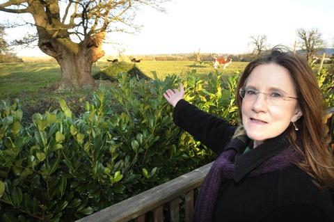 LEAVE IT ALONE: Sylvia Partridge by land where developer Cala Homes is applying to build.