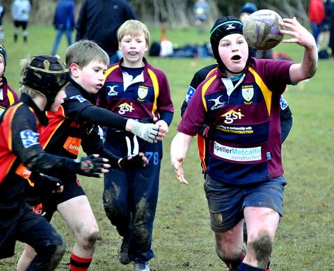 MY BALL: An Evesham Under 10s player keeps hold of possession during the club’s mini-rugby festival at Lower Albert Road which saw teams from Under Sevens to 12s age groups do battle. Picture: GINO DI FRANCO.