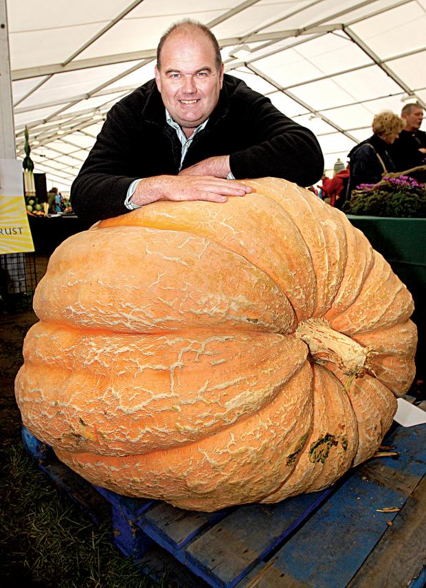 GIANT FLASHBACK: A delighted David Thomas with his 600lb pumpkin that won a first at the Malvern Autumn Show last year.