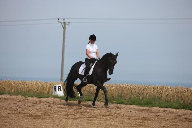 Tewkesbury Admag: Equestrian Tewkesbury Admag: Equestrian