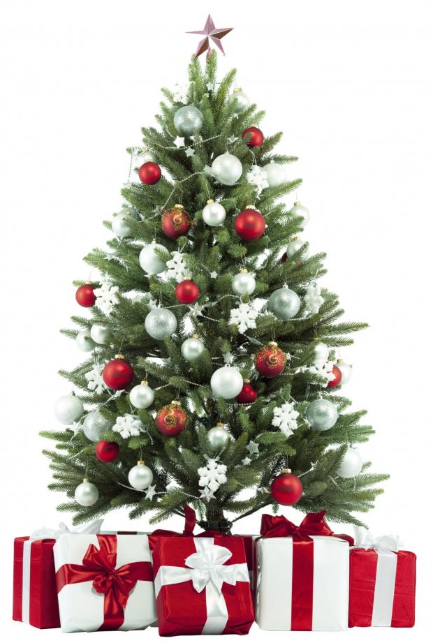 Tewkesbury Admag: Trees can be recycled across the Tewkesbury borough Tewkesbury Admag: Trees can be recycled across the Tewkesbury borough