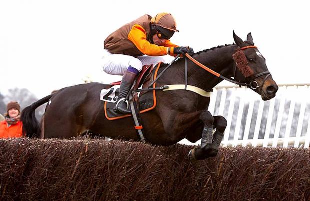 Tewkesbury Admag: CHASING SUCCESS: Rumbavu and Sam Waley-Cohen in action ahead of Sunday’s Savills Heythrop point-to-point at Cocklebarrow. Picture: ANDREW NORMAN. Tewkesbury Admag: CHASING SUCCESS: Rumbavu and Sam Waley-Cohen in action ahead of Sunday’s Savills Heythrop point-to-point at Cocklebarrow. Picture: ANDREW NORMAN.