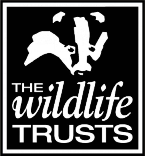 Tewkesbury Admag: Log sale to benefit wildlife organisation this Saturday Tewkesbury Admag: Log sale to benefit wildlife organisation this Saturday