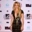 Tewkesbury Admag: Shakira has a young son, but is putting having more children on hold for now Tewkesbury Admag: Shakira has a young son, but is putting having more children on hold for now