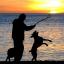 Tewkesbury Admag: The figures suggested dog attacks were more common in the summer Tewkesbury Admag: The figures suggested dog attacks were more common in the summer