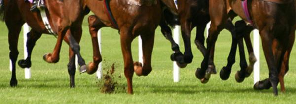 Tewkesbury Admag: Race double in Devon for Bridgwater Tewkesbury Admag: Race double in Devon for Bridgwater