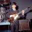 Tewkesbury Admag: George Harrison's tree suffered an insect infestation Tewkesbury Admag: George Harrison's tree suffered an insect infestation