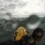 Tewkesbury Admag: The daring rescue of a boy off a Cornish beach Tewkesbury Admag: The daring rescue of a boy off a Cornish beach