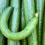 Tewkesbury Admag: How wonderfully outrageous was Channel 4's Cucumber this evening? Tewkesbury Admag: How wonderfully outrageous was Channel 4's Cucumber this evening?