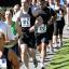 Evesham 10k Run