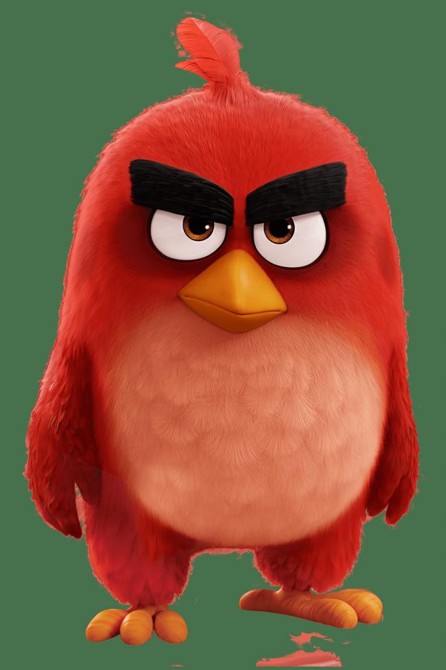 Angry Birds To Drop By Merry Hill Tewkesbury Admag