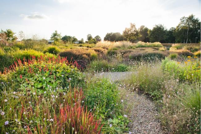 Bidford on Avon and District Gardening Society
