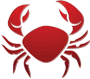 Tewkesbury Admag: Cancer Tewkesbury Admag: Cancer