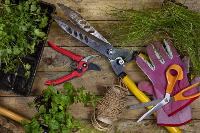Bidford on Avon & District Gardening Society's annual meeting was held earlier this month