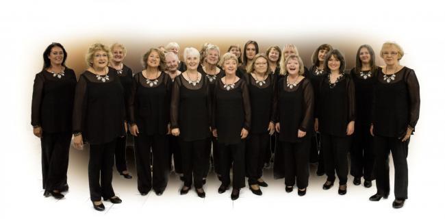 Vale Connection Ladies Chorus entertained Littletons WI